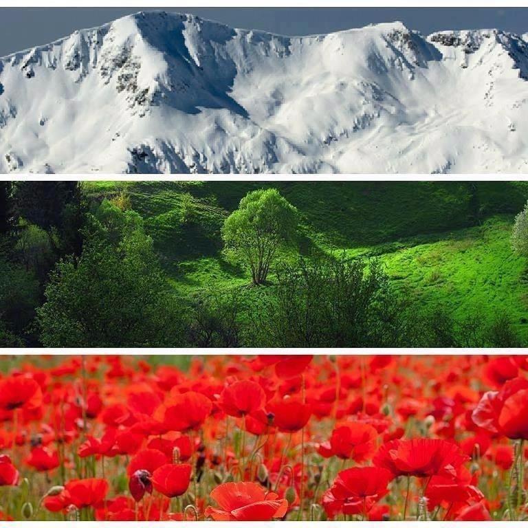 Апартаменти Ковачева Bansko Exterior foto
